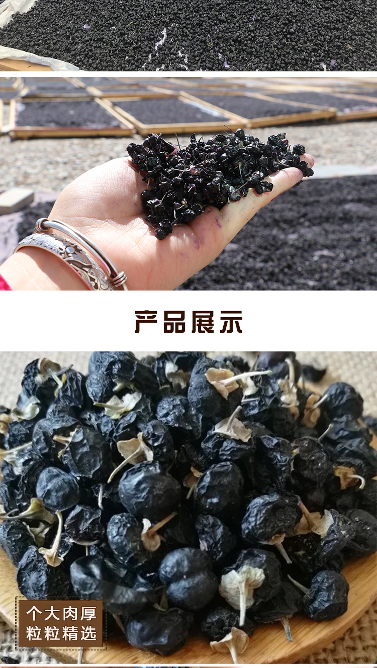 黑枸杞_07