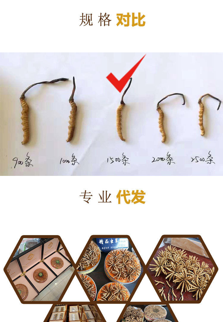 9619739353_574766824