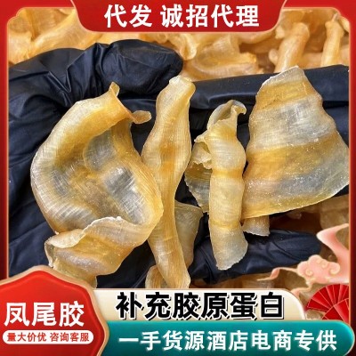 凤尾胶 红鳘鱼鱼鳔鱼胶花胶干货餐饮酒店食材商用花胶佛跳墙批发