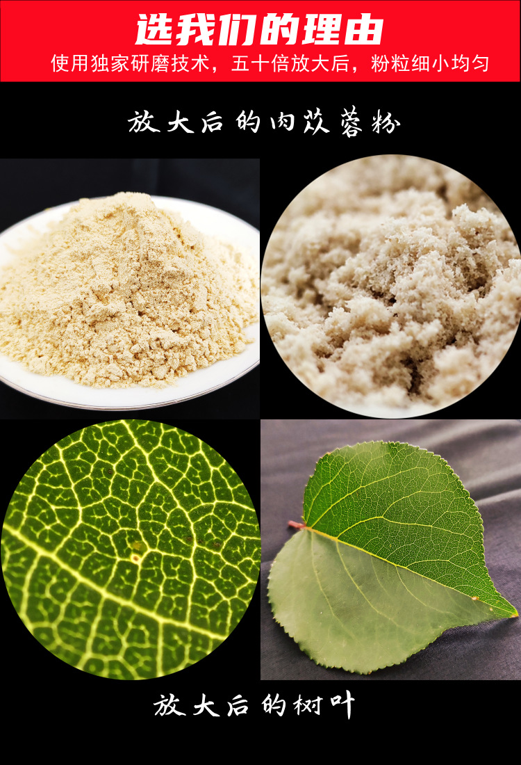 肉苁蓉粉2207368_副本_副本