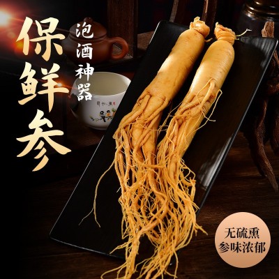 长白山人参 东北特产 保鲜参泡酒煲汤 酒瓶参 直播代发产地货源