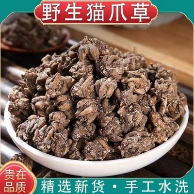 野生猫爪草500g克猫爪草新鲜水洗猫爪草中药材猫抓草包邮可食用