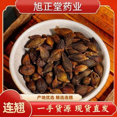 连翘青翘选货莲翘500g中药材正品贯叶果实片粉连翅莲翅青连翘批发