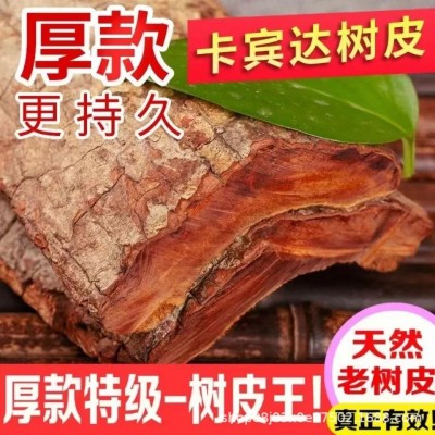 卡宾达树皮正宗中药材泡酒各种厚度树皮粉 产地直销量大从优
