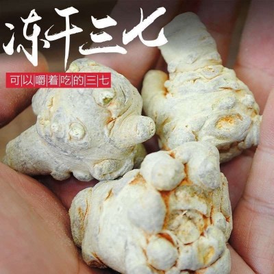 云南文山冻干三七中药材20头30头60头春三七头田七真空冷冻三七粉