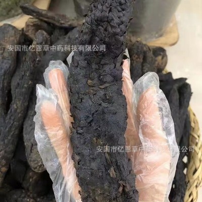 肉苁蓉中药材批发 阿拉善泡酒料肉苁蓉干片 煲汤不老草 一件代发