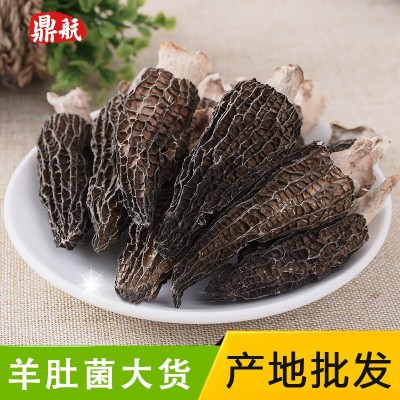 羊肚菌剪脚去柄云南特产食用干羊肚菌新鲜非500g批发一件代发