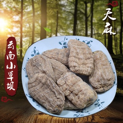 云南昭通天麻小草坝天麻产地货源批发乌天麻一件代发