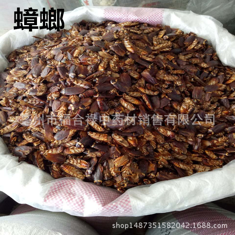 TB2acgnhUlnpuFjSZFjXXXTaVXa_!!