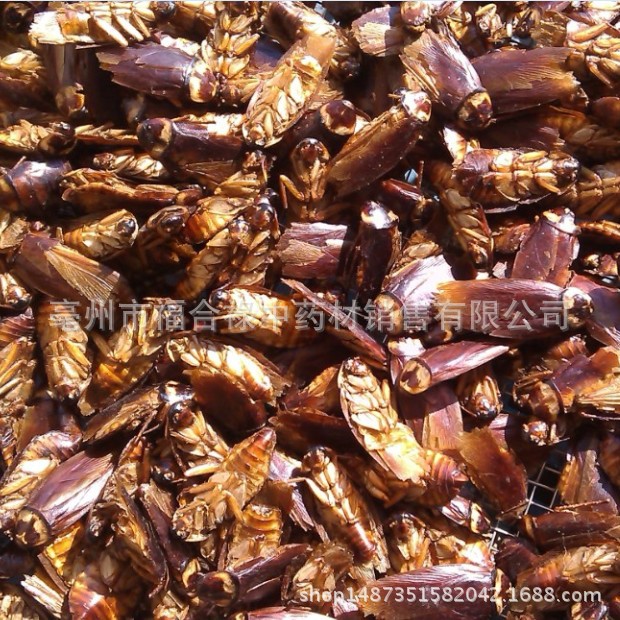 TB2TSQXamiJ.eBjSspoXXcpMFXa_!!