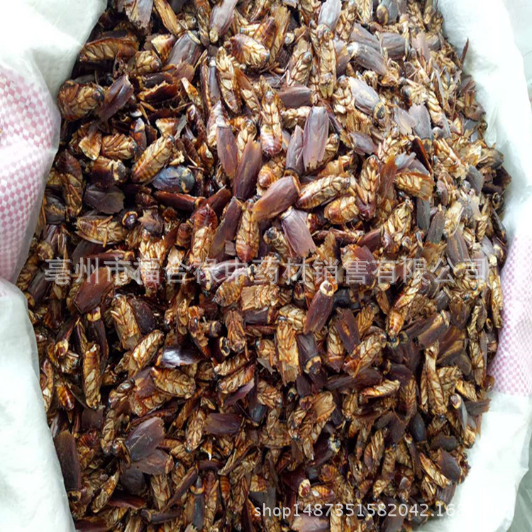 TB2x5IxhUhnpuFjSZFEXXX0PFXa_!!