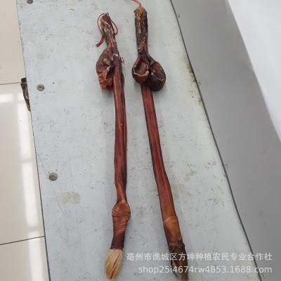 吉林双阳鹿鞭鹿场直供 东北特产鹿鞭泡酒料 礼盒整枝批发实图拍摄