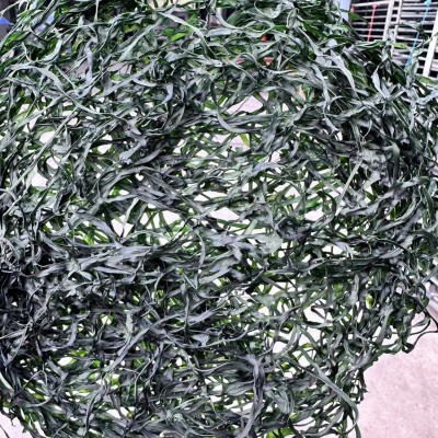 海带丝烘干海带丝凉拌菜海带丝干海带丝烘干海带丝沙拉即食软糯