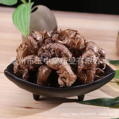 蝉蜕粉 纯天然正品中药材粉 金蝉粉 现磨蝉蜕超细粉 量大从优批发