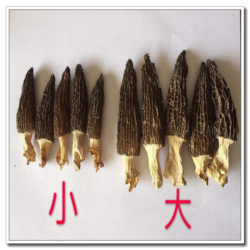 mmexport1630712051331