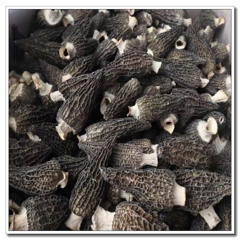 mmexport1630712044682