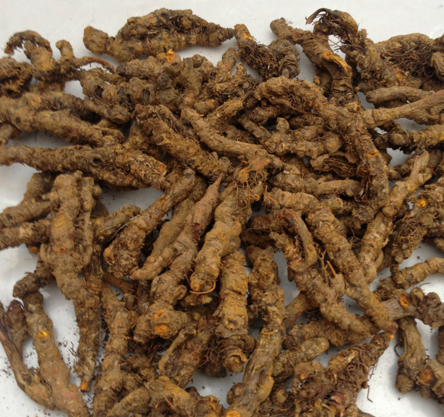 LEY1]QHLHO7N9OC2@MLS@YU