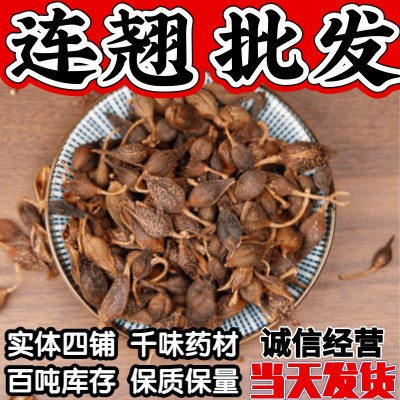 贯叶连翘 中药材连翘批发 无柄连翘粉 青连翘 黄连翘500g翘壳落翘