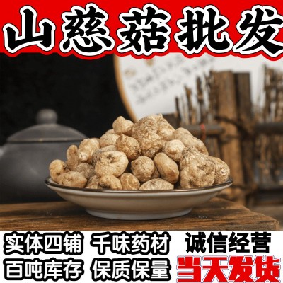中药材山慈菇批发 山茨菇 毛慈菇 光慈姑 冰球子 大量现货