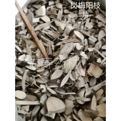 岗梅根，满天星