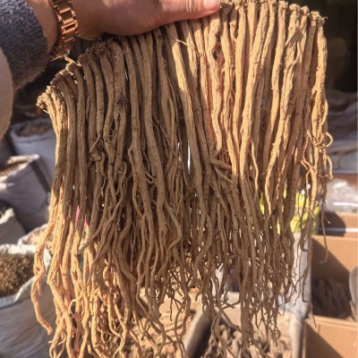 厂家批发250g无硫党参干货整支 中药材党参条 大货散装批发可食用
