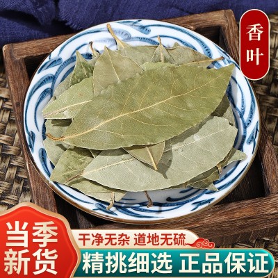 源头工厂香叶餐饮直供香料香叶干货烧菜火锅卤料大料调料500g起