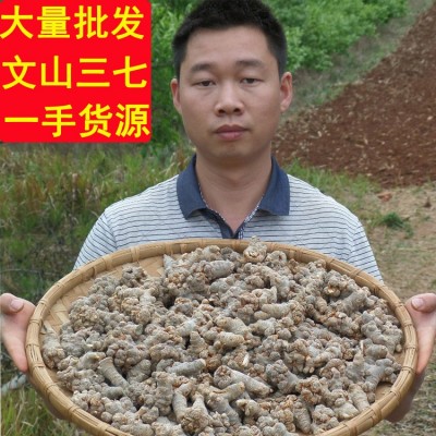 大麦文山三七 专批发云南文山春三七头 田七 三七粉文山产地药材