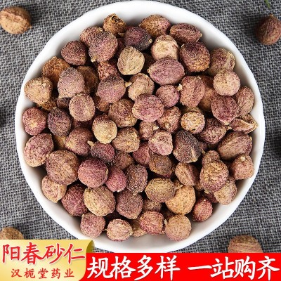 砂仁批发 阳春砂 砂仁香料 产地货源 量大从优