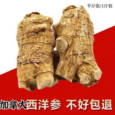 厂家直供加拿大西洋参批发各种规格圆粒头短支花旗参礼盒装西洋参
