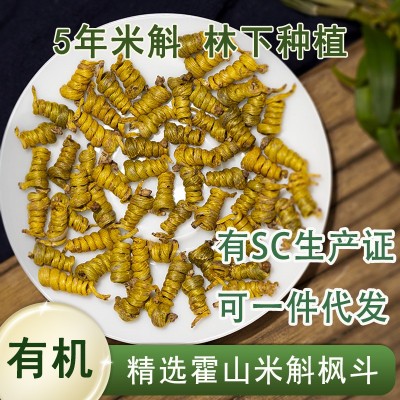 【有机】精选霍山米斛枫斗 龙头凤尾霍山石斛5年生 非铁皮石斛