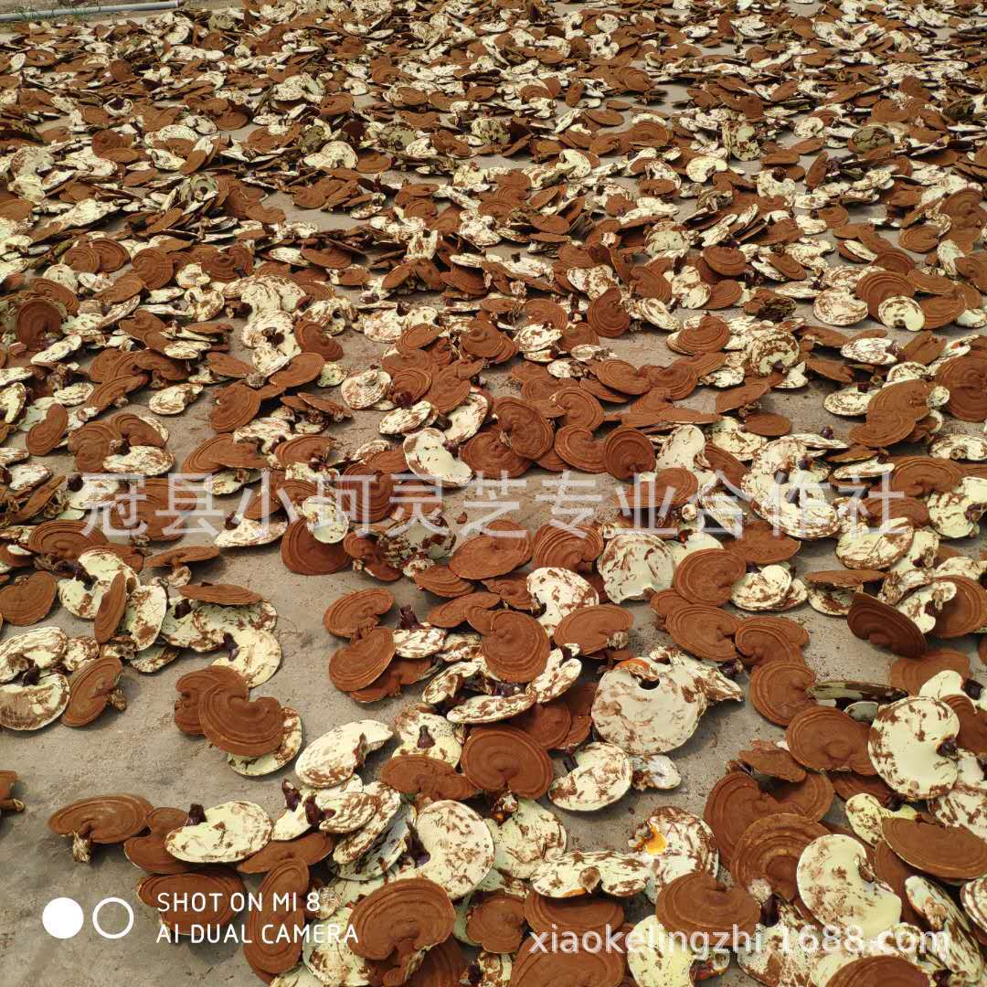 微信图片_20180708092836