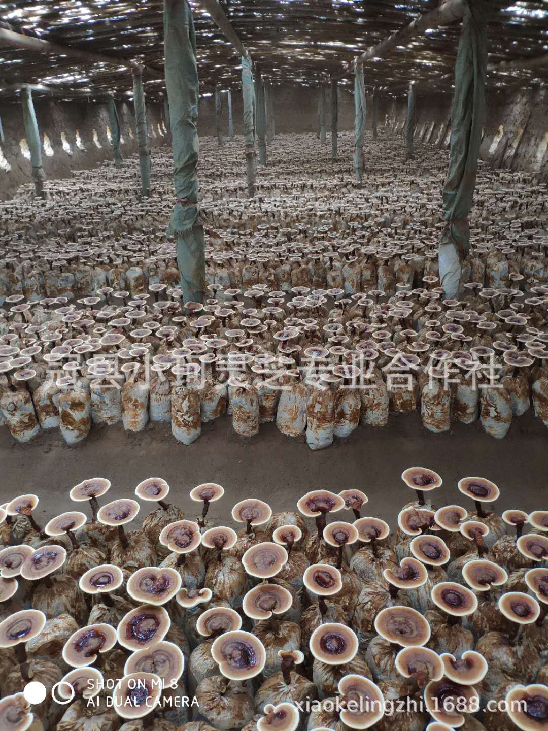 微信图片_20180704173421