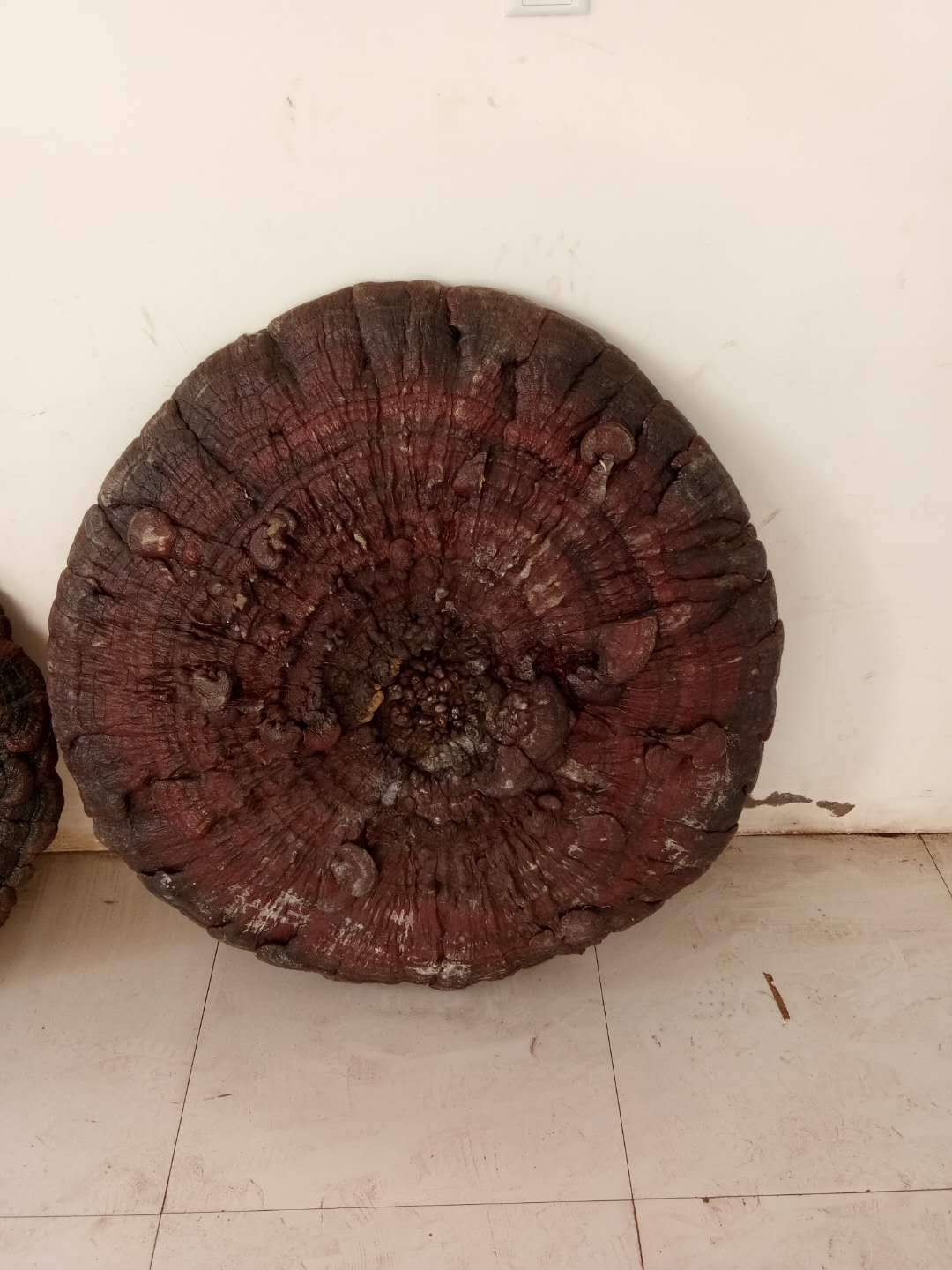 微信图片_20180520084548