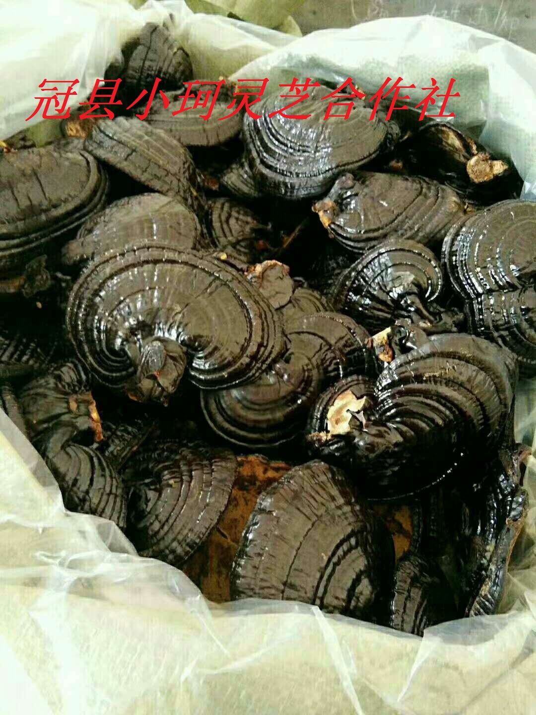 微信图片_20180513164333