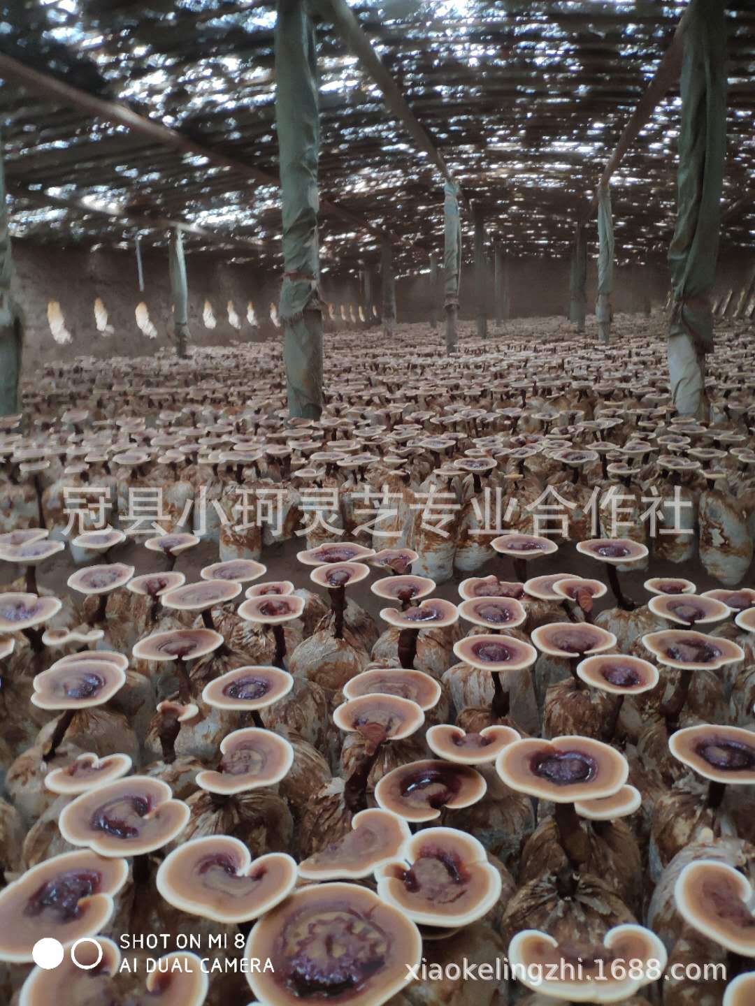 微信图片_20180704173405