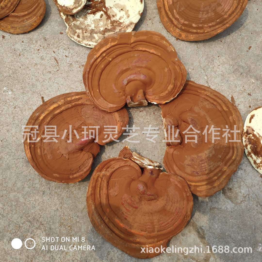 微信图片_20180708092831