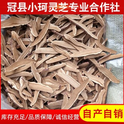产地供应自产自销 赤灵芝切片 瓶装灵芝切片等各种规格灵芝切