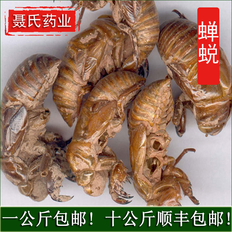 124新货 批发中药材