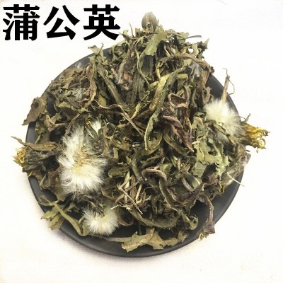 批发供应中药材公英 蒲公英 公英根 一手货源