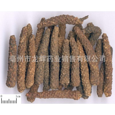 批发供应优质农产品冷背中药材原料 云南 荜茇