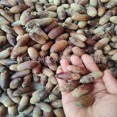 新货毛毛果籽 狗鞭果籽 猪仔笠泡酒料不带壳发货