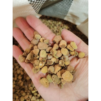 覆盆子中药材批发 复盆子 覆盘子干果 复盆子承接大货量大价优