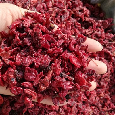 新货山萸肉，产地批发山萸肉 ，，可以视频看货。大货批发