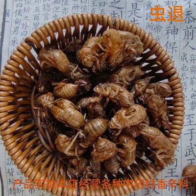蝉蜕 批发蝉蜕 蝉衣 禅衣 蝉壳 虫退 知了壳