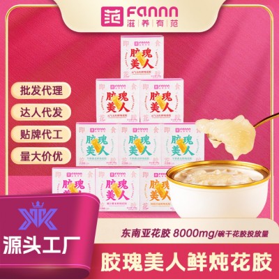 滋养有范鲜炖即食年货花胶礼盒滋补品白花胶奶冻批发代餐牛奶鱼胶