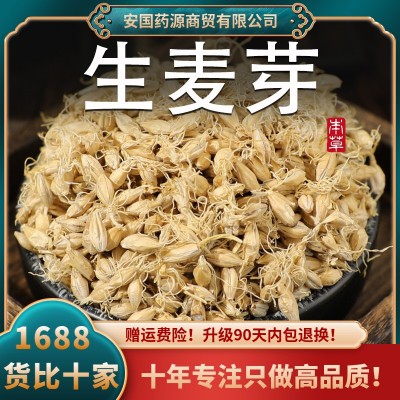 麦芽中药材生麦芽大麦芽生大麦芽茶麦牙回泡水粉奶新鲜搭谷芽山楂