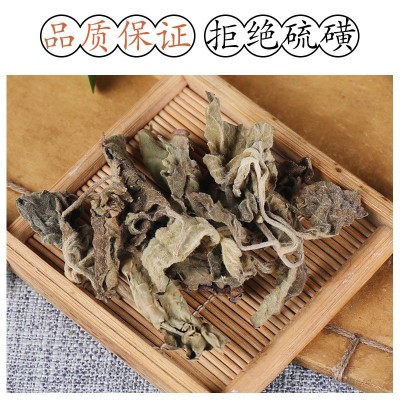 中药材特级野生藿香叶 广藿香纯叶 正品新货藿香叶 干货 500g