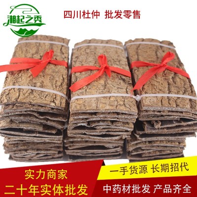 川杜仲批发 四川产地货源 杜仲长块杜仲方块 中药材批发 湘起之秀