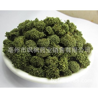 【飒枫药业】批发原药材【三七花】参三七花、山漆花、金不换花