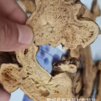 白术【振兴药材】中药材批发供应【白术】 浙江货 产地直销